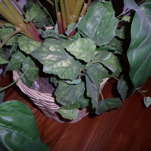 Fabric Foliage Arrangement in a Basket Planter - Picture 5 of 8